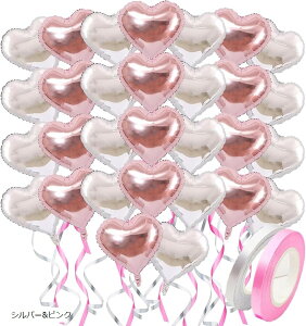 n[g D o[ A~ 傫 {t 30 Zbg Vo[sN