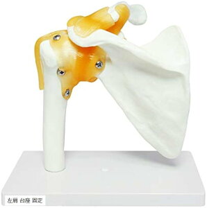 �y�y�V�����L���O1�ʓ��܁z���b�� ���֐� ���� �͌^ ���f�� �l�� ���i�͌^ �W�{ �x�� ��w �w�K�p �ғ� �E�� ��� ��O�� ���� �Œ� �E�� ��� ��O��