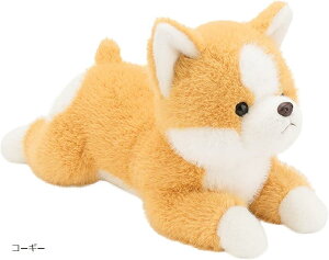 ʂ    A ӂӂ Mtg Aj} L[g R[M[