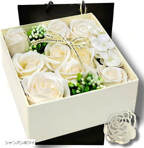 \[vt[ ԑ LO j NX}X KN v[g Mtg   a җ ̓ ̓ bZ[WJ[h VbvobOt sN p[v bh Vp