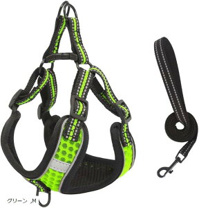  L n[lX[hZbg ybg pi   U Ԕ bV y TCY ߉\ u[ O[ S ubN sN M IW bh XS