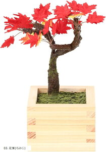 �荗���a���ƂЂ̂������g�p���� �~�� bonsai �l�H�ϗt�A�� ���� �t�F�C�N�O���[�� �a�� �a���p �C���e���A 12cm 01. �� ������ 04. ��� �C�`���E 02. �X�~ �낤�΂� 03. �g�t ���݂� 05. 01. ��(����
