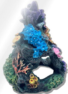 yyVLO1ʓ܁z IuWF lHTS ANAE I[ig ANZT[  u B  Mы  _J