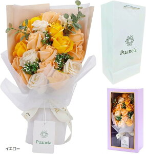 yyVLO1ʓ܁z\[vt[ ԑ a v[g ̓ Mtg ސE hV̓ j ܕt sN CG[ CbN IW }x[