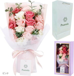 yyVLO1ʓ܁z\[vt[ ԑ a v[g ̓ Mtg ސE hV̓ j ܕt sN CG[ CbN IW }x[