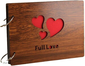 Ao  LO vo tHgAo fR[V ʐ^ ~j Lbg ؐ  n[g 