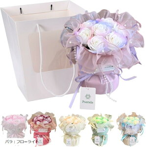 yyVLO1ʓ܁zt[fUCi[ \[vt[ ԑ Mtg a ̓ ސE hV̓ v[g ܕt J[l[VF[YNI[c