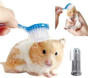 nX^[  ߋ Vѓ Vя AX`bN u[