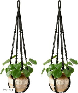 nMOv^[ vgnK[ }N  ݂艺  O ϗtA 2{ Vo[OC AC{[ x[W ubN 2