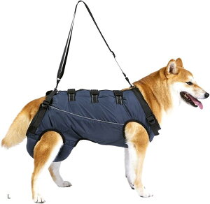  s⏕n[lX  pi n[lX n[lX M L S