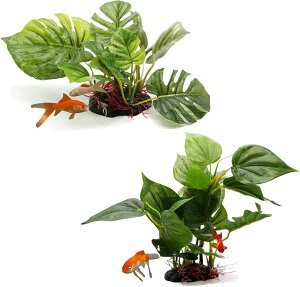 ANAE lH  Zbg CAEg  Mы eg SEM