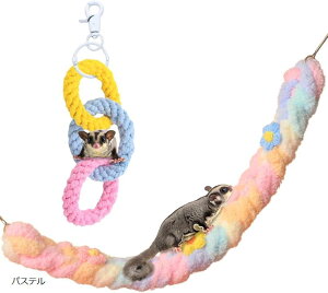 K  tNK P[W ݂艺 [v  2_Zbg pXe