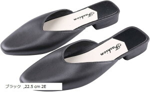 gуXbp [V[Y q[  fB[X  F  ی Ǝ w ƎQϗp wZs 24.5 cm 2E 22.5 ubN 23.5 cm 2E