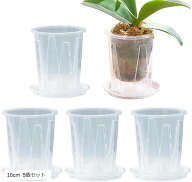 【楽天ランキング1位入賞】植木鉢 透明 底皿付き スリット鉢 観葉植物 プラスチック プラ鉢 5個セット 10…