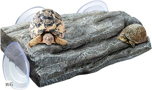 T  ঒ zՌŒ b  ꏊ vbgtH[ 