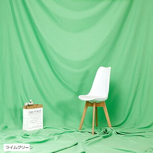 wiz 2mx1.5m Vtɂ Be p obN XN[ V[g ʐ^ X^WI |GXe n  eF pr CO[ `R[guE u[gp[Y rXPbgx