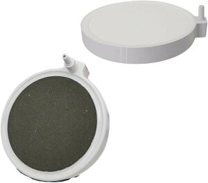 GAXg[ C ouXg[ p ׂA Mы _J  ANAE ሳ É GA[V