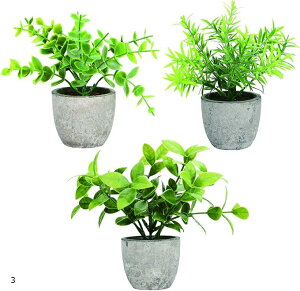 yyVLO1ʓ܁ztFCNO[ lHϗtA ~j A 3_Zbg p CeAG 3