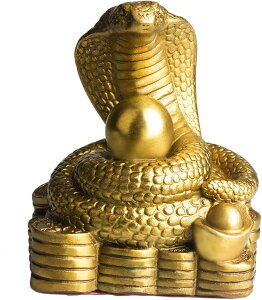 H|i ̎  ObY  JƂ̃Mtg wr x u 蕨 N H10cm