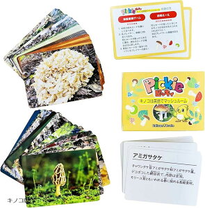 EdisonBrain sbLB _oさ邽Q[ ώ@́EmAbv̒mJ[h 1`6lp