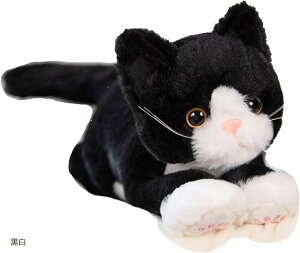 L ʂ ˂   ӂӂ A 킢 Mtg zCg  ubN O[