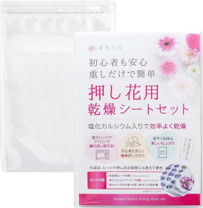 ԃLbg V[g ԗpV[gZbg JԂg JVE V[g6 NbVy[p[10 1+ۊǑ1t