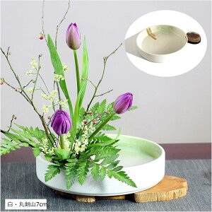 ݊i  Ԋ  20cm R ی^ SO 7cm ؓ  t[AWg  یR7cm EیR7cm