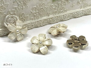 {^ {^ 20mm Ԃ̃{^ 4Zbg nhCh CN ޗ  {^ J[fBK gbv   hX ߑ ANZT[ p[c zCg ubN s