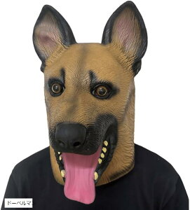  蕨 Aj} }XN nEB RXv   A  h[x}