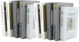 tFCNubN m _~[ubN C~e[V CeA IV 10