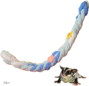 K tNK  ݂艺  nX^[ [v tbNt sN u[ O[