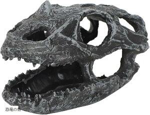 AllBright ঒ރVF^[ B gl nEX ANAE A   gJQ T Mы j̍