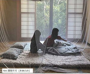 ᒠ  傫 LO TCY Lv AEghA xr[ Jf h ΍ 2m Js {̂̂ J {̂̂ 3m ݒuptbNERt 3m 2m Js ({̂̂)