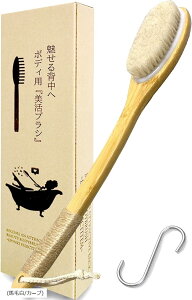 wďC {fBuV w {fB[uV tiFStbN nє/J[u (nє/J[u)