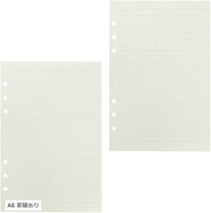 tB VXe蒠 6 tB  XPW[ 45x3Zbg A6 r