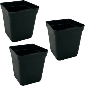 A̓|bg c|bg v^[ ƒ؉ A ^ 50Zbg lp^