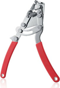 ] P[u v[ y` Ci[C[vC[ u[LP[uvC[ C[̈ Ci[C[̒ [hoCN NXoCN }EeoCN C