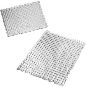 LgQgQ}bg O/ Nh~ Q΍ NAJ[ Jbg\ 8Zbg