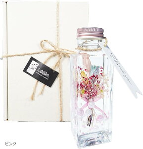 n[oE MEI̓Mtg  u[P vU[ht[ v[g LO a CG[ȈՔ ϔȂ CG[ sN u[ CG[iϔȂj