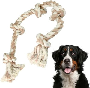 yyVLO1ʓ܁zp[v ^/^ vȊނ XgX