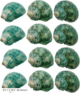 ̊Lk p hĴ hւp ~h̊Lk 12S37-0-T STCY  30-34mm XSTCY 27-29mm XXSTCY  22-26mmj