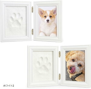 yyVLO1ʓ܁zGXlbg ybg Ԃ A tHg t[ ʐ^   23cm  15cm ` ^ Sy t ؐ 蕨 L u[