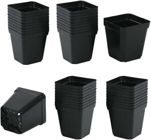 c|bg 50Zbg Aؔ Xbg v v^[ t[|bg vX`bN lp  y