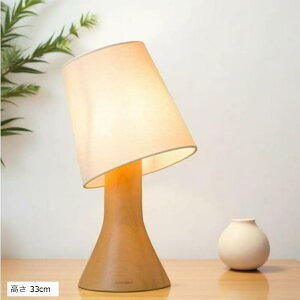 e[uv ԐڏƖ hCcY ui VR ؐ  LEDΉ USBd  26cm  33cm