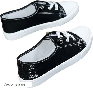 Xj[J[ fB[X V[Y C LoX  [t@[ Xb| y ʊw lC JCC  l tbg ؂ [q[ ʋ Ȃ Ȃ y zCg 23.5 c