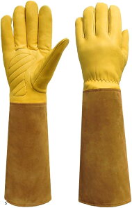 |p |pi K[fjO op OK[fO[u ^b`plΉ M S L