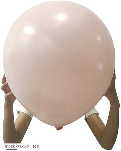 o[ D  傫 24C` 60cm }J pXeJ[ a  }JsN }JCG[ }JzCg }JIW }JO[ 10