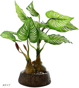 ϗtA tFCN O[ tFCNO[  Xe lHϗtA ~j   A A^Cv B^Cv D^Cv C^Cv