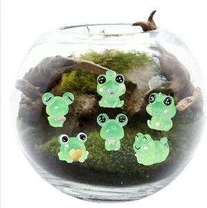 ۃeE tBMA  JG̃~j`AtBMA 6Zbg