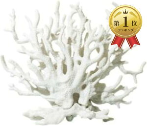 yyVLO1ʓ܁zTS X  ANAE IuWF lHX tFCNTS   p u[ zCg sN